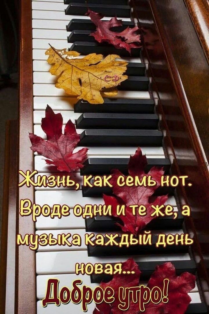 зірюак ееьЁъйот Ёртодеіэдни иё хде ё ушзы к7аждвій дёйв __ ДЁЬЁЭФЗ итд д