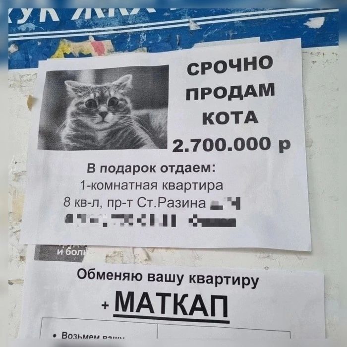 срочНО пгодАМ котд 2700ооо р в подарок отдаем гкомиагнгя квартира Ехал Прт Ст Разина _Ч Ф Обменяю нашу квартиру МАТКАП вам