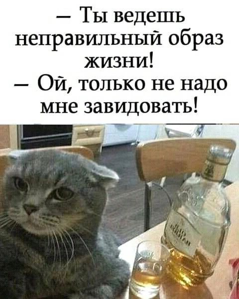 Ты ведешь неправильный образ жизни Ой только не надо мне завидовать