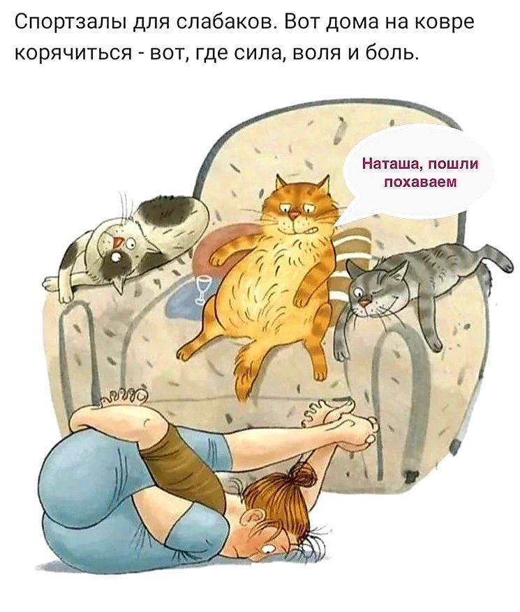 спортзалы для спабаков Вот дома на ковре корячиться вот где сила воля и боль