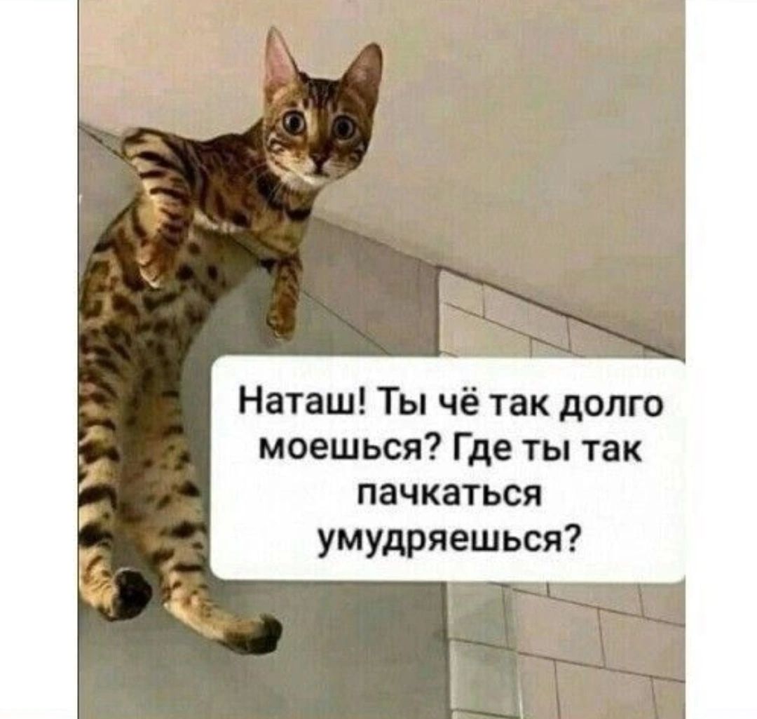 Наташ Ты чё так долго моешься Где ты так пачкаться умудряешься