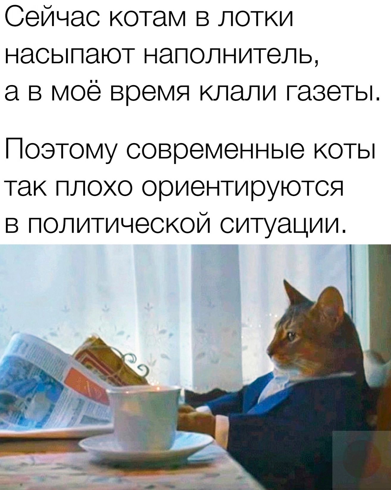 Сейчас котам в лотки насыпают наполнитель а в моё время клали газеты Поэтому современные коты так плохо ориентируются в политической ситуации