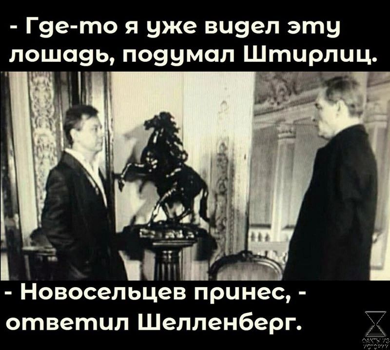 Г9е то я уже виэел эту Новосельцев принес ответил Шелленберг