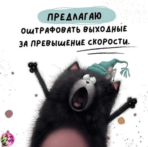 ПРЕДЛАГАЮ оштРАФовАть выходные за ппвыщенм скорости