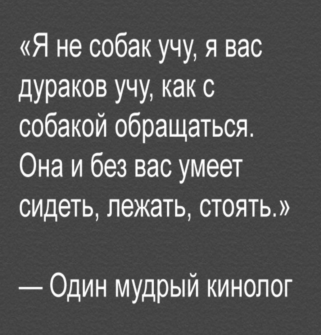 Я не собак учу я вас дураков учу как с собакой обращаться Она и без вас умеет сидеть лежать стоять Один мудрый кинопог