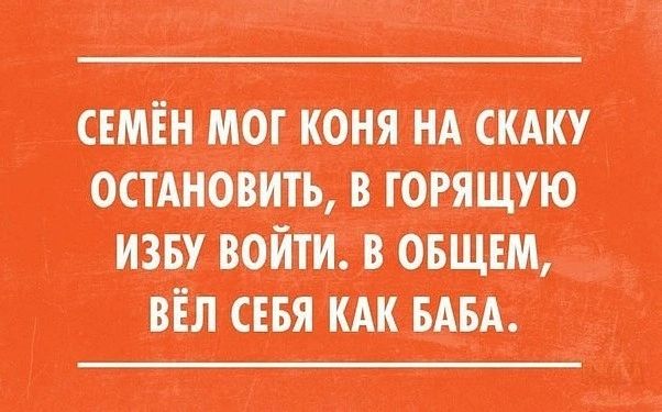 шпиц ищи шве ндсшин