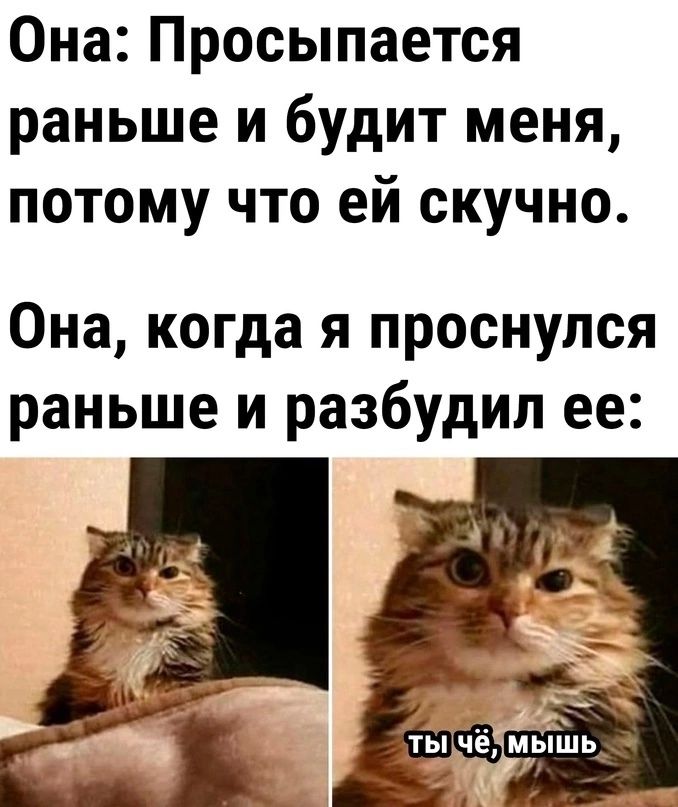 Она Просыпается раньше и будит меня потому что ей скучно Она когда я проснулся раньше и разбудил ее