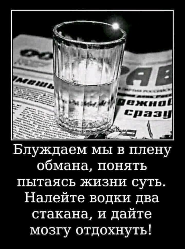 Блуждаем мы в плену обмана понять пытаясь жизни суть Налейте водки два стакана и дайте мозгу отдохнуть