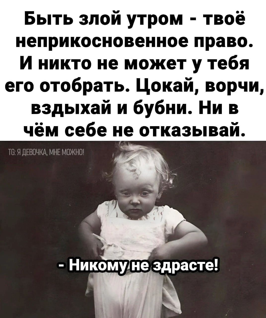 Быть злой утром твоё иеприкосновеиное право И никто не может у тебя его отобрать Цокай ворчи вздыхай и бубни Ни в чём себе не отказывай Никомуме здрасте