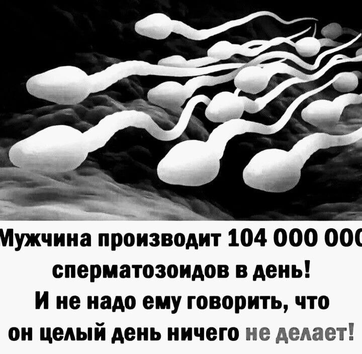 А __ Иужчииа производит 104 000 ООС сперматозоидов в день и не надо ему говорить что он целый день ничего не делает