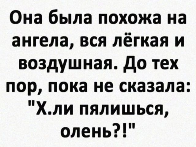 Она была похожа на ангела вся лёгкая и воздушная До тех пор пока не сказала Хли пялишься олень