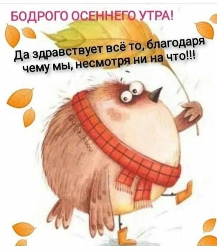 БОДРОГО ОСЕННЕРО УТРА