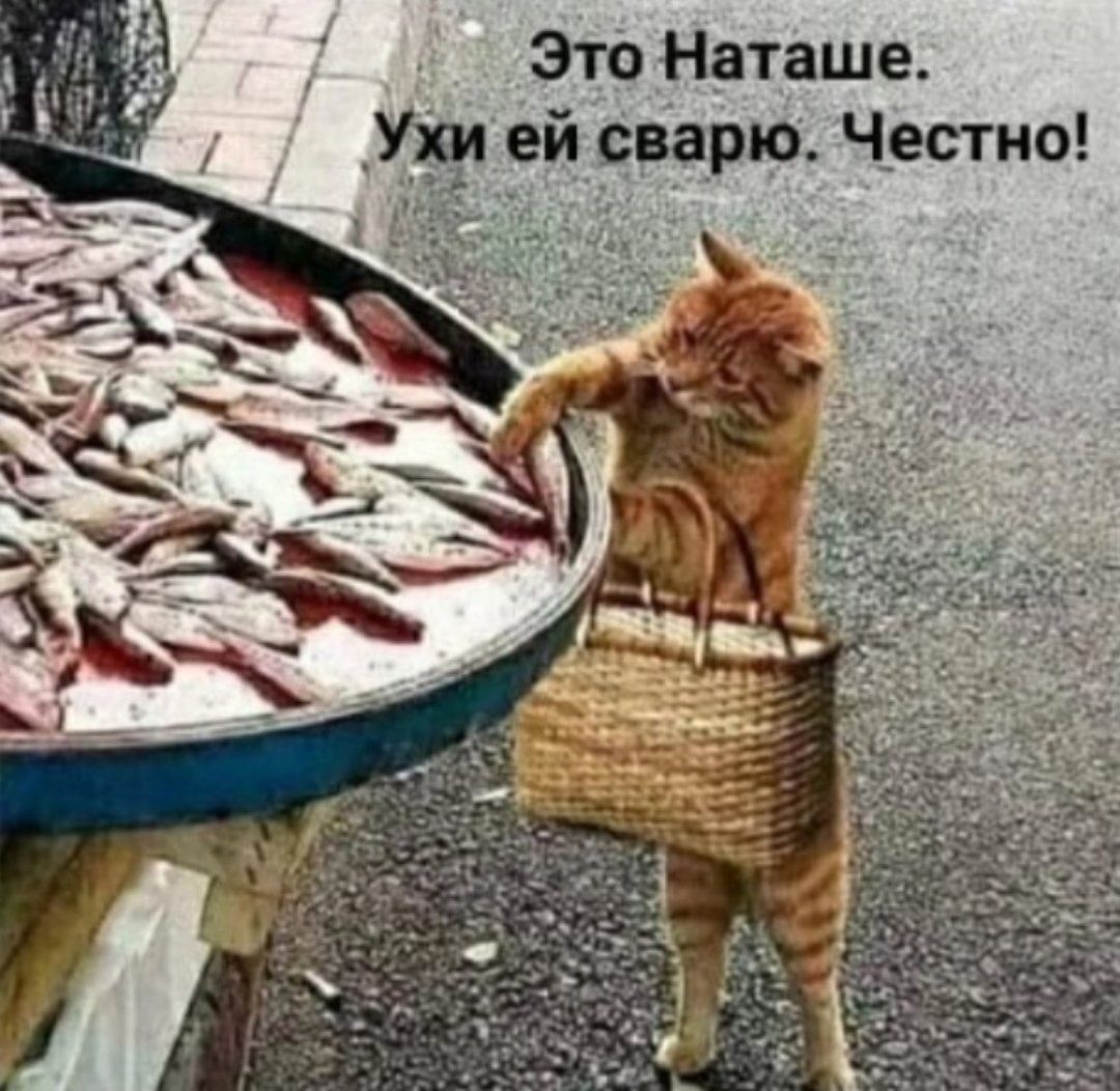 Это Наташе ей сварю Честно