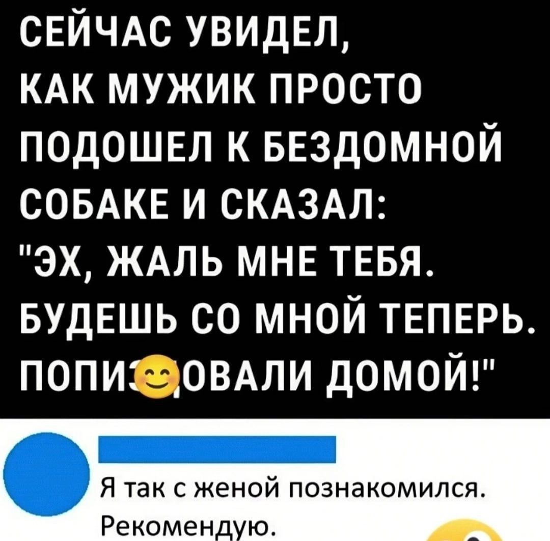 СЕЙЧАС УВИДЕЛ КАК МУЖИК ПРОСТО ПОДОШЕЛ К БЕЗДОМНОЙ СОБАКЕ И СКАЗАЛ ЭХ ЖАЛЬ МНЕ ТЕБЯ БУДЕШЬ СО МНОЙ ТЕПЕРЬ ПОПИФ ЗОВАЛИ ДОМОЙ Я так с женой познакомился Рекоменд