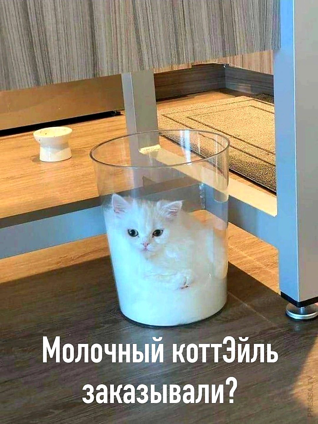 Молочн коТТЭЙЛЬ заказывали