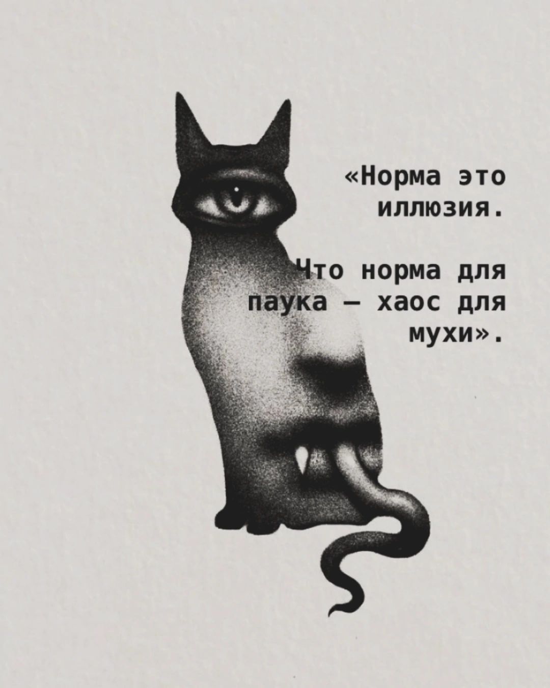Норма это иллюзия то норма для а хаос для мухи
