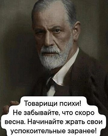 Товарищи психи Не забывайте что скоро весна Начинайте жрать свои успокоительные заранее