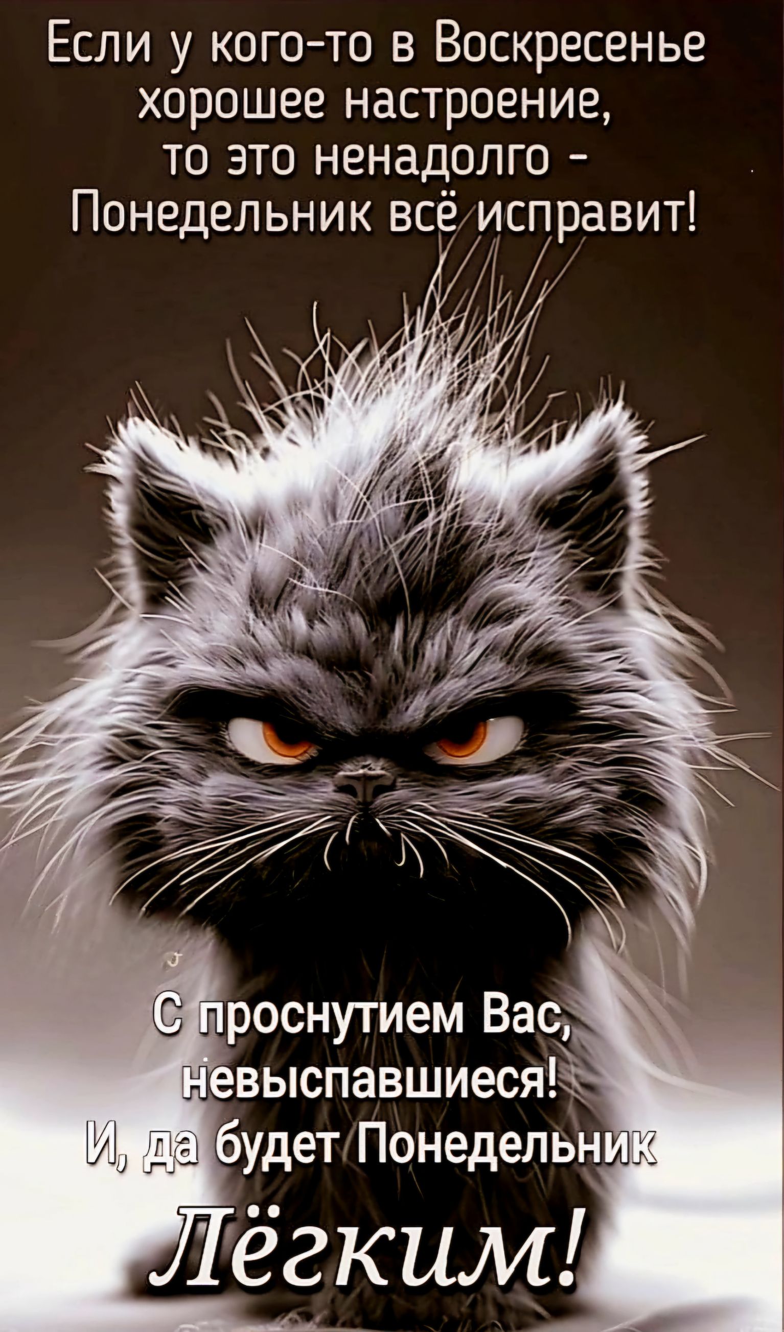Если у кого-то в Воскресенье хорошее настроение, то это ненадолго – Понедельник всё исправит!

С проснутим Вас, невыспавшиеся! И, да будет Понедельник Лёгким!