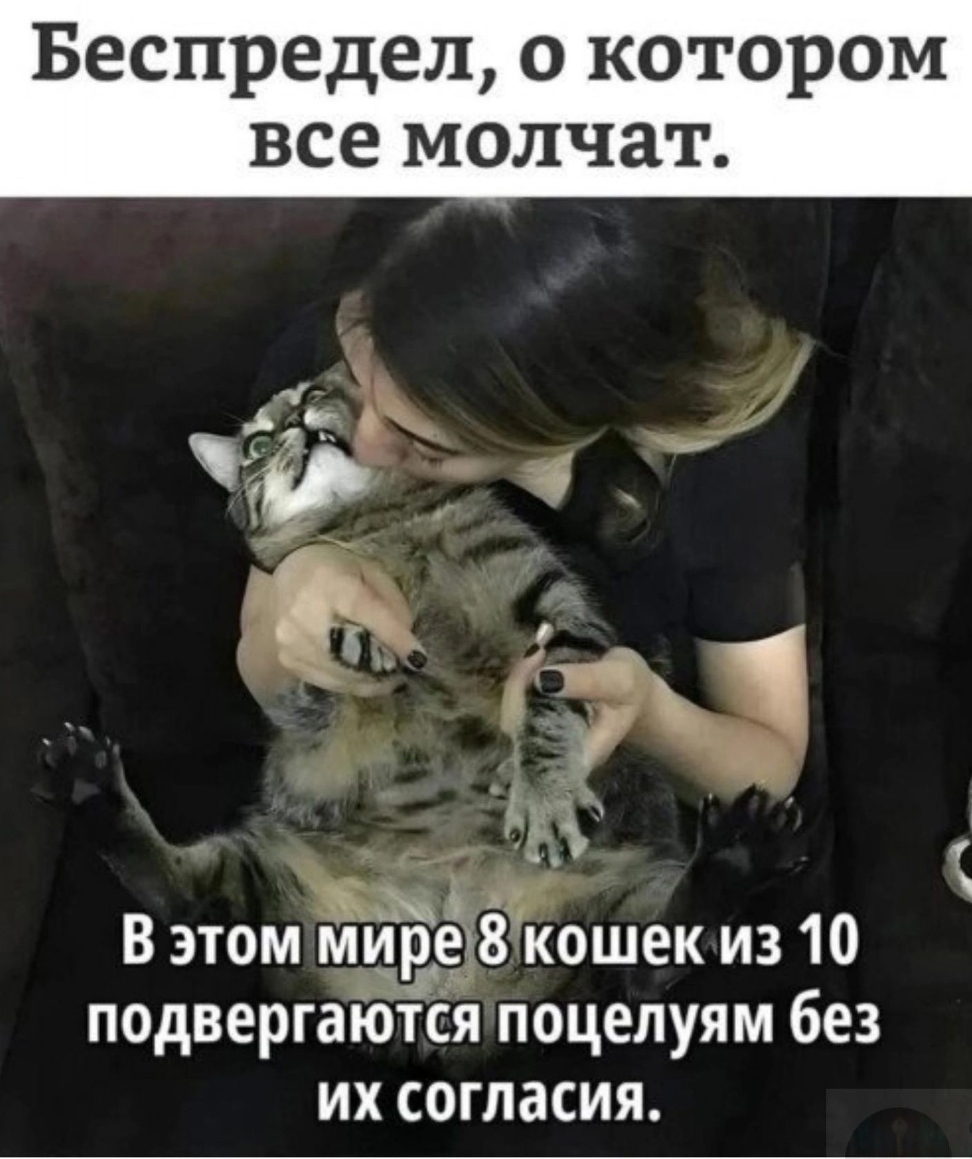 Беспредел, о котором все молчат.
В этом мире 8 кошек из 10 подвергаются поцелуям без их согласия.