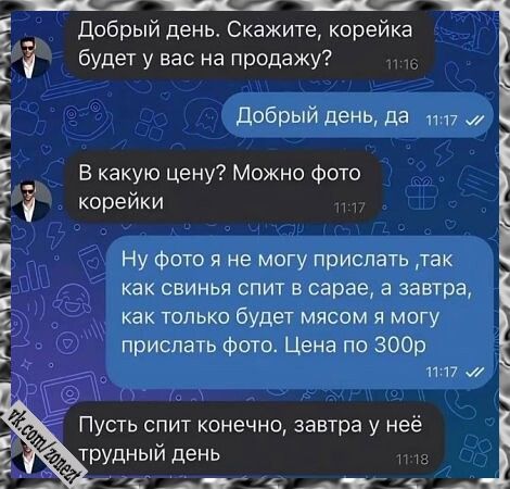 Добрый день. Скажите, корейка будет у вас на продажу? Добрый день, да. В какую цену? Можно фото корейки? Ну фото я не могу прислать, так как свинья спит в сарае, а завтра, как только будет мясом, я могу прислать фото. Цена по 300р. Пусть спит, конечно, завтра у неё трудный день.