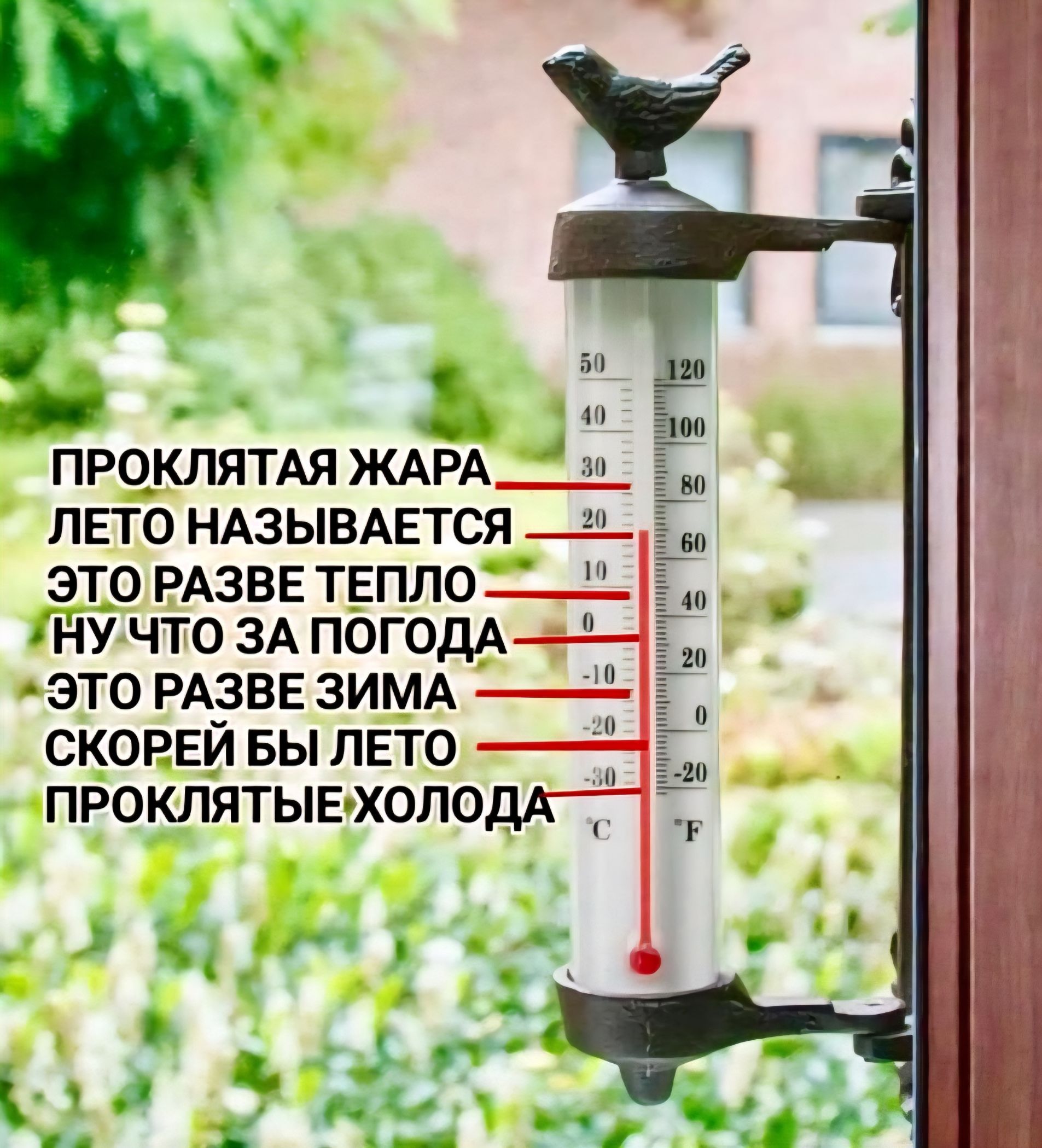 ПРОКЛЯТАЯ ЖАРА
ЛЕТО НАЗЫВАЕТСЯ
ЭТО РАЗВЕ ТЕПЛО
НУ ЧТО ЗА ПОГОДА
ЭТО РАЗВЕ ЗИМА
СКОРЕЙ БЫ ЛЕТО
ПРОКЛЯТЫЕ ХОЛОДА