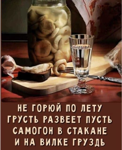НЕ ГОРЮЙ ПО ЛЕТУ
ГРУСТЬ РАЗВЕЕТ ПУСТЬ
САМОГОН В СТАКАНЕ
И НА ВИЛКЕ ГРУЗДЬ