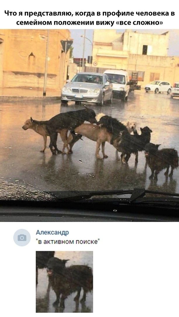Что я представляю, когда в профиле человека в семейном положении вижу «все сложно». Александр 