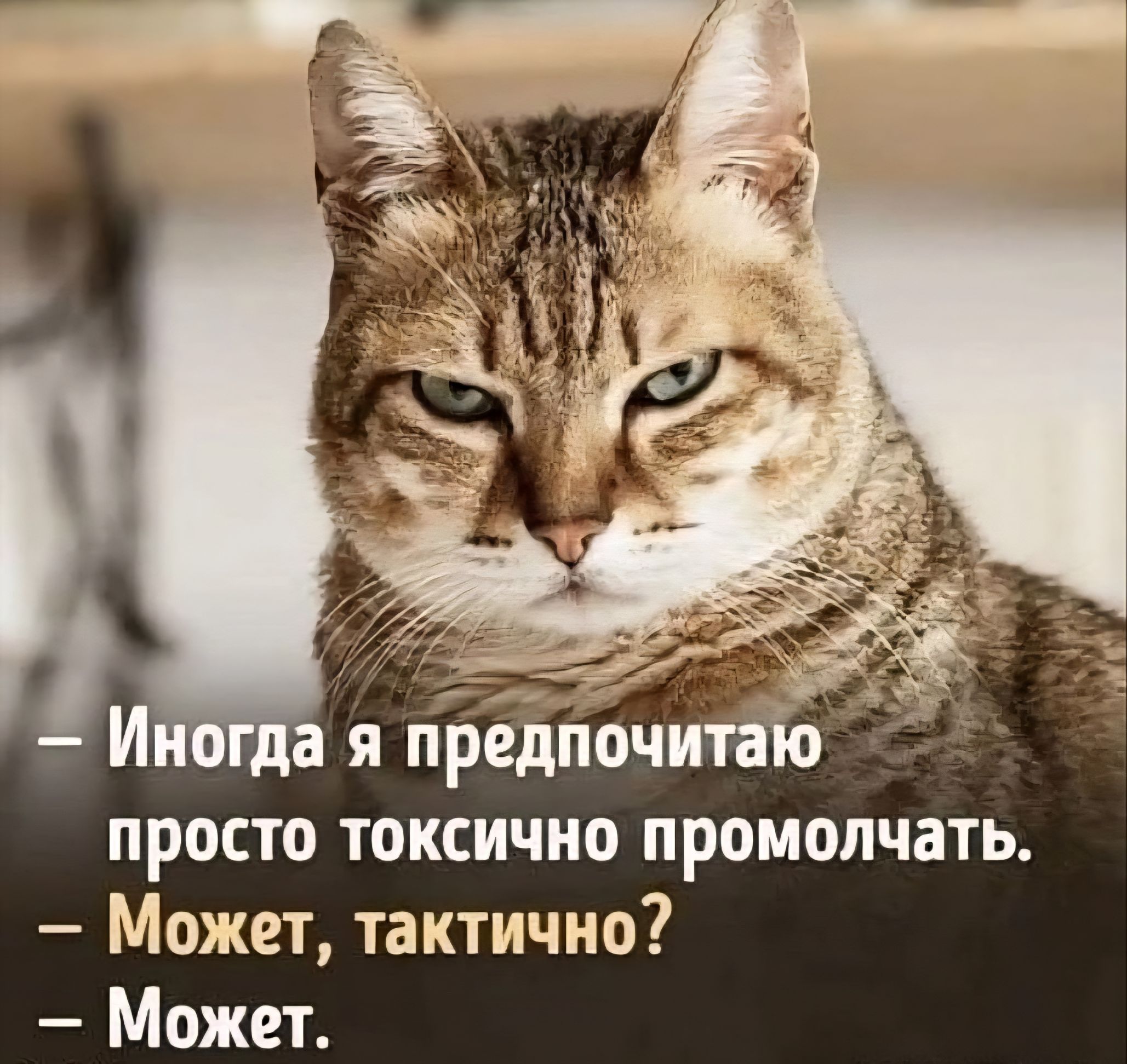 — Иногда я предпочитаю просто токсично промолчать.
— Может, тактично?
— Может.