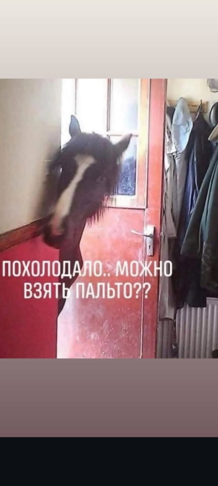 ПОХОЛОДАЛО.. МОЖНО ВЗЯТЬ ПАЛЬТО??