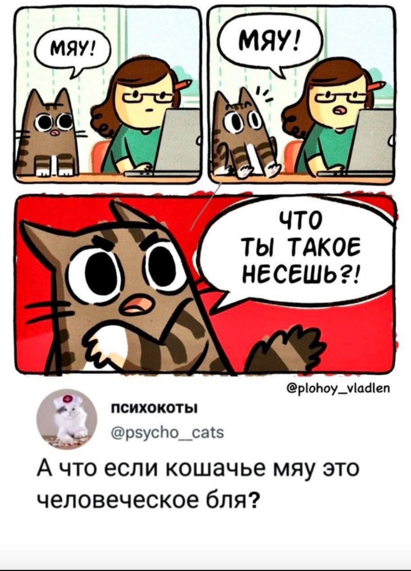 МЯУ!
МЯУ!
ЧТО ТЫ ТАКОЕ НЕСЕШЬ?!

ПСИХОКОТЫ
@psycho_cats
А что если кошачье мяу это человеческое бля?