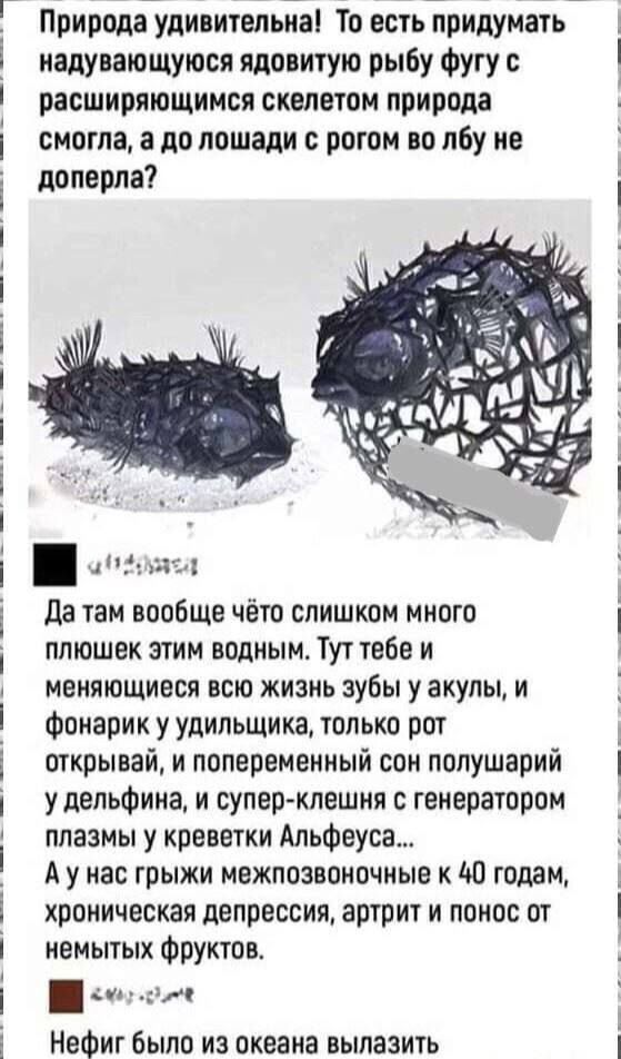 Природа удивительна! То есть придумать надувающуюся ядовитую рыбу фугу с расширяющимся скелетом природы смогла, а до лошади с рогом во лбу не доперла?

Да там вообще чё-то слишком много плюшек этим водным. Тут тебе и меняющиеся всю жизнь зубы у акулы, и фонарик у удильщика, только рот открывай, и попеременный сон полушарий у дельфина, и супер-клешня с генератором плазмы у креветки Альфеуса...
А у нас грыжи межпозвоночные 40 годам, хроническая депрессия, артрит и понос от немытых фруктов.
Нефиг было из океана вылазить
