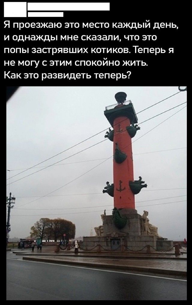 Я проезжаю это место каждый день, и однажды мне сказали, что это попы застрявших котиков. Теперь я не могу с этим спокойно жить. Как это развидеть теперь?