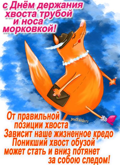 с Днём держания хвоста трубой и носа морковкой!\nОт правильной позиции хвоста зависит наше жизненное кредо\nПоникший хвост обузой может стать и вниз потянет за собой следом!