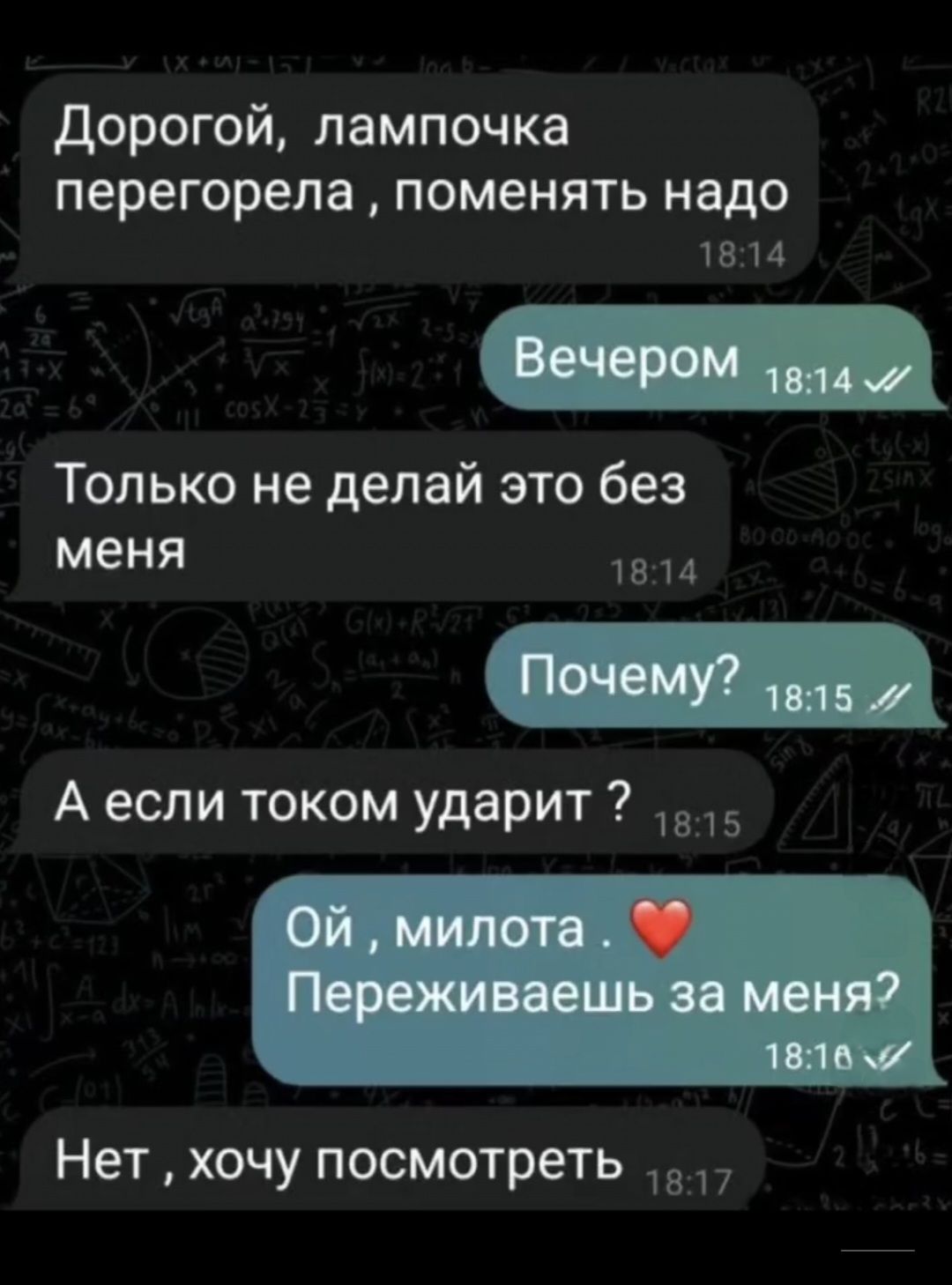 Дорогой, лампочка перегорела , поменять надо
Вечером
Только не делай это без меня
Почему?
А если током ударит ?
Ой , милота . ❤️ Переживаешь за меня?
Нет , хочу посмотреть