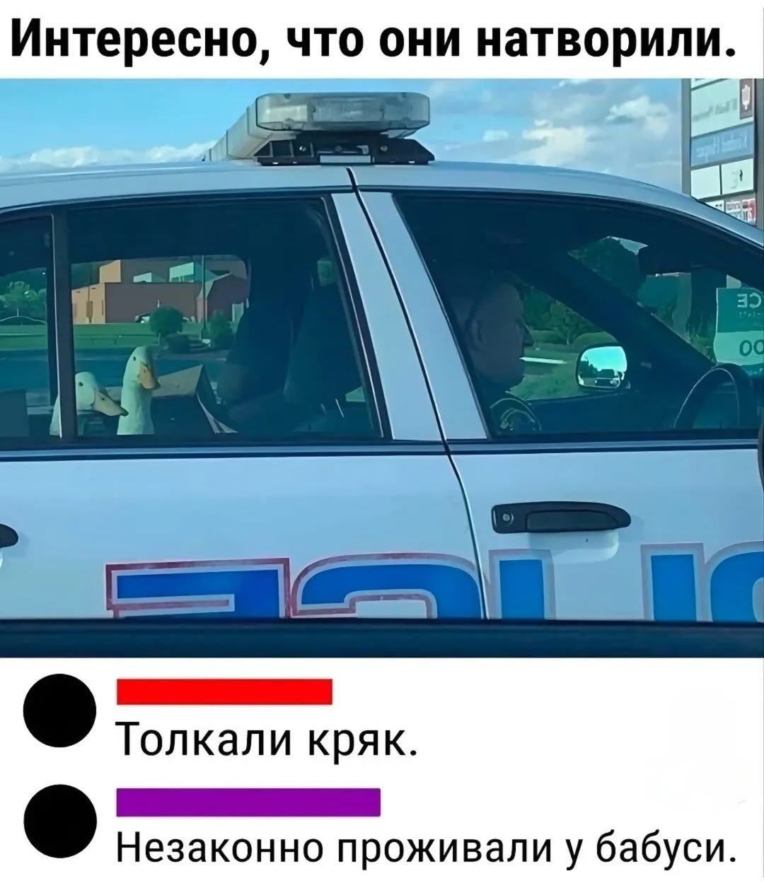 Интересно, что они натворили. 
• Толкали крик. 
• Незаконно проживали у бабуси.