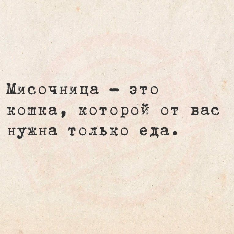 Мисочница - это кошка, которая от вас нужна только еда.