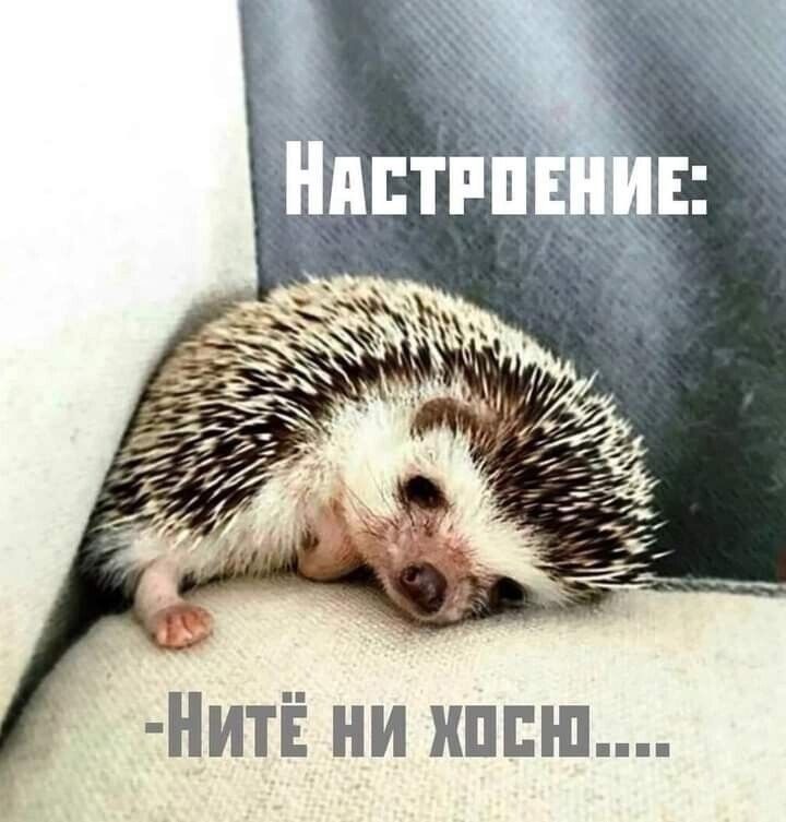 Настроение: -Нитё ни хосю....