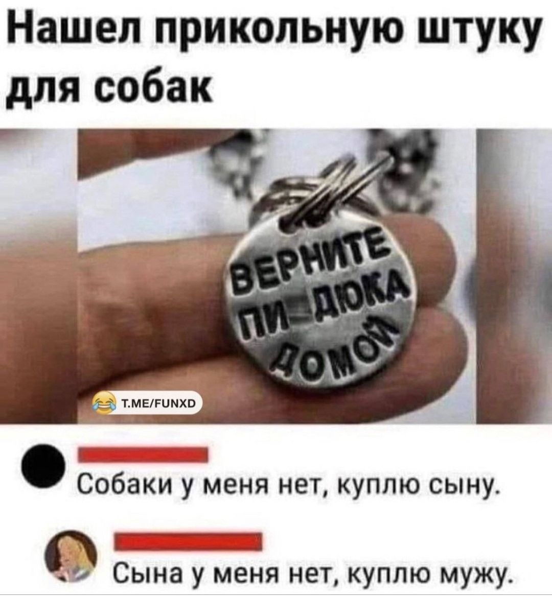 Нашел прикольную штуку для собак
Верните пидюка домой