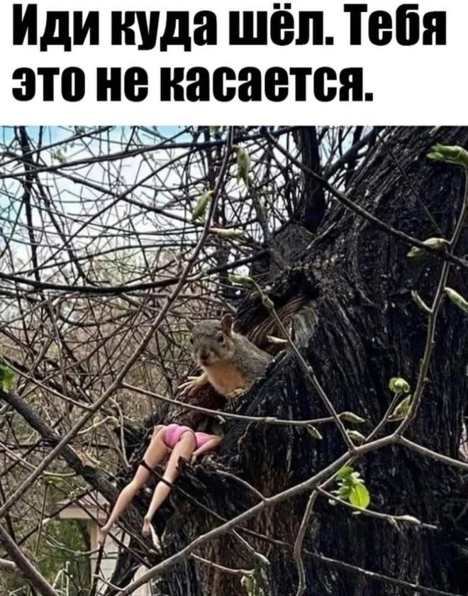 Иди куда шел. Тебя это не касается.