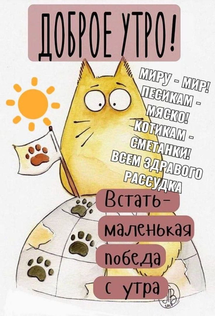 ДОБРОЕ УТРО! МИРУ - МИР! ПЕСИКАМ - МЯСКО! КОТИКАМ - СМЕТАНКИ! ВСЕМ ЗДРАВОГО РАССУДКА Встать - маленькая победа с утра