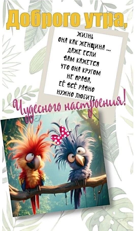 Доброго утра, Жизнь она как женщина... даже если вам кажется что она кругом не права, её всё равно нужно любить. Чудесного настроения!