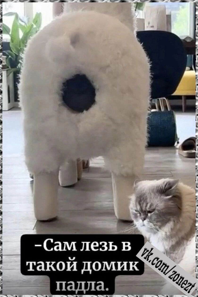 Сам лезь в такой домик падла.