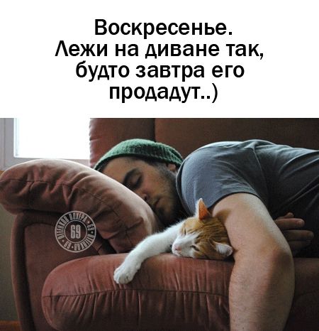 Воскресенье. Лежи на диване так, будто завтра его продадут..)