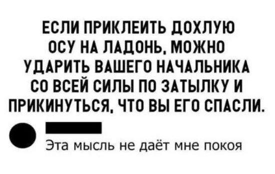 ЕСЛИ ПРИКЛЕИТЬ ДОХЛУЮ ОСУ НА ЛАДОНЬ, МОЖНО УДАРИТЬ ВАШЕГО НАЧАЛЬНИКА СО ВСЕЙ СИЛЫ ПО ЗАТЫЛКУ И ПРИКИНУТЬСЯ, ЧТО ВЫ ЕГО СПАСЛИ. Эта мысль не дает мне покоя