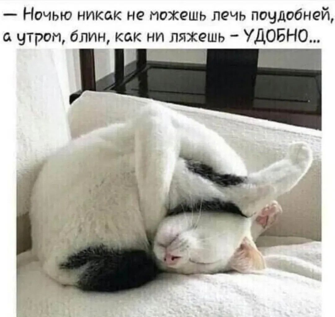 — Ночью никак не можешь лечь поудобней, а утром, блин, как ни ляжешь – УДОБНО...