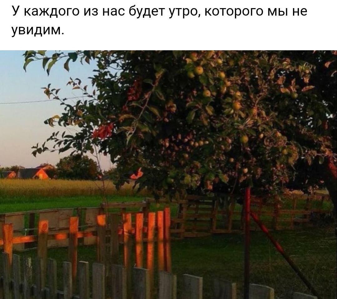 У каждого из нас будет утро которого мы не увидим