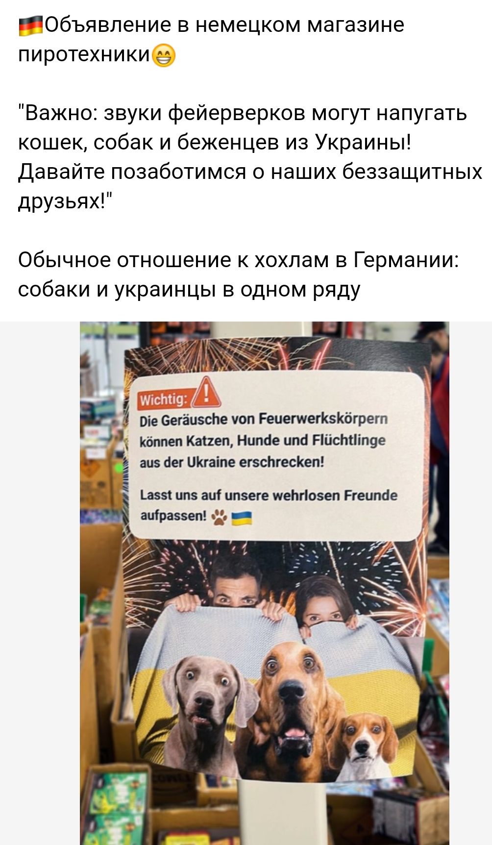 Объявление в немецком магазине пиротехники Важно звуки фейерверков могут напугать кошек собак и беженцев из Украины Давайте позаботимся о наших беззащитных друзьях Обычное отношение к хохлам в Германии собаки и украинцы в одном ряду ви т гаишникам шт на а пишим шп шыш миссисипи Гиш Не пират _