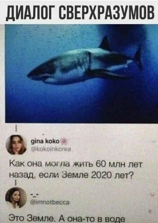 дИАЛОГ СВЕРХРАЗУМПВ 9іпа Коко ч Как она мы на лишь 60 млн лет ніазгщ если Земле 2020 лет ТМПОКЬКСЗ ЭтоЗвмлеАона товводв