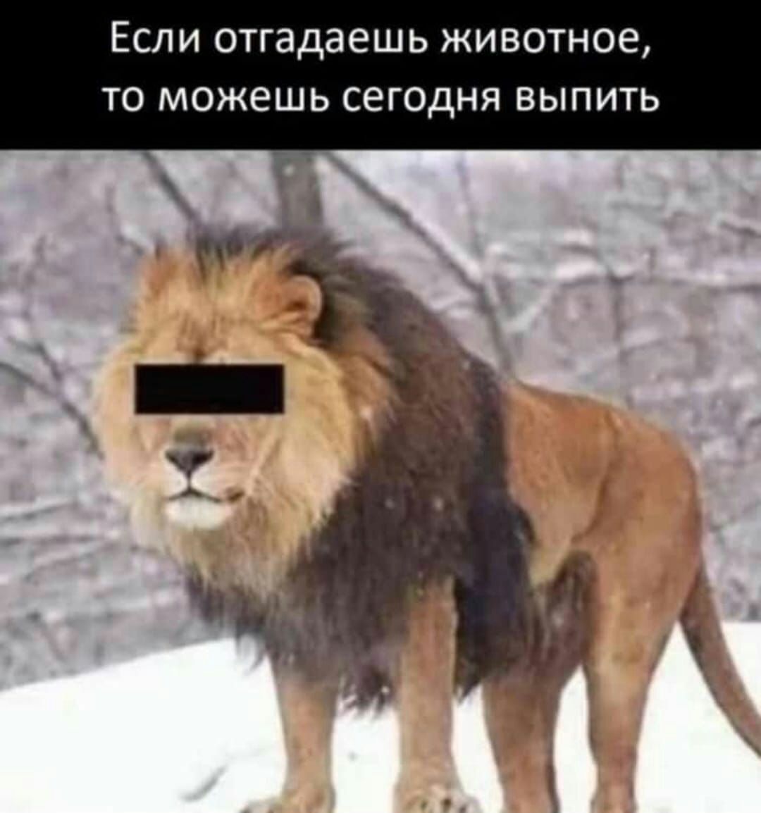 ЕСЛИ отгадаешь ЖИВОТНОЕ ТО МОЖеШЬ СЕГОДНЯ БЫПИТЬ