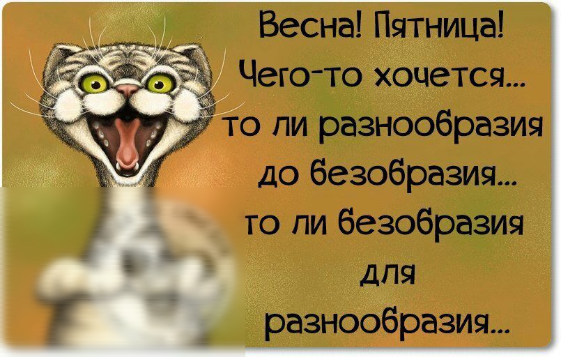 Весна Пятница Чего то ходется то пи разнообразия до безобразия то ли безобразия для разнообразия